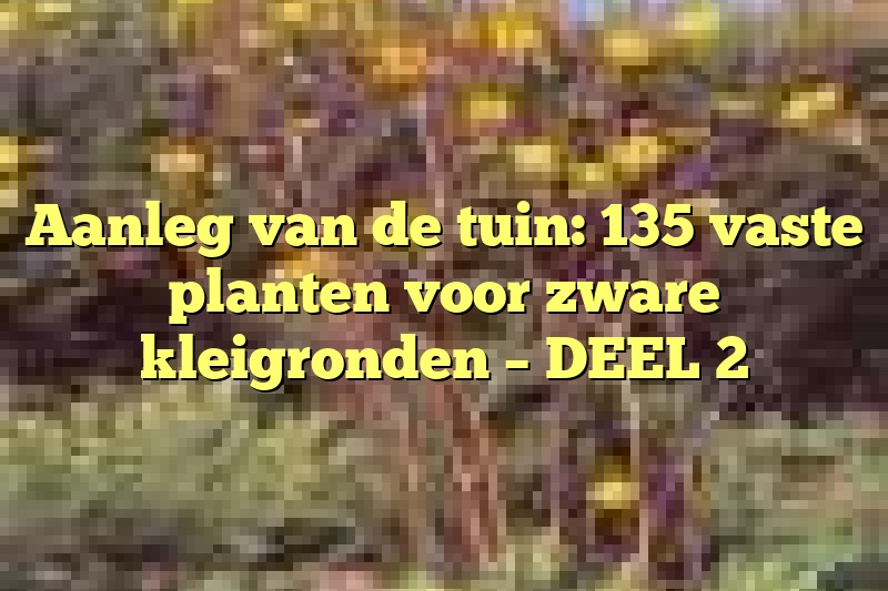 Aanleg van de tuin: 135 vaste planten voor zware kleigronden – DEEL 2