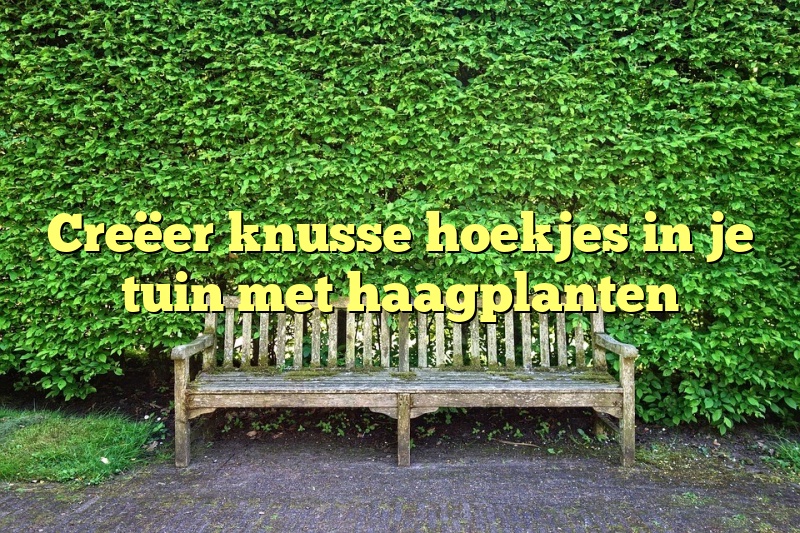 Creëer knusse hoekjes in je tuin met haagplanten