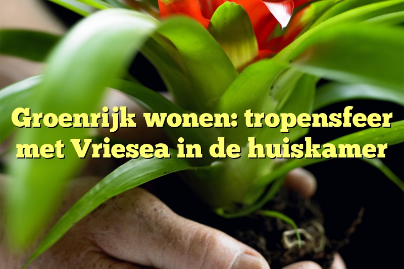 Groenrijk wonen: tropensfeer met Vriesea in de huiskamer