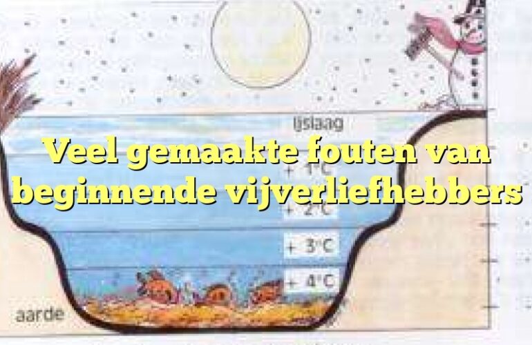Veel gemaakte fouten van beginnende vijverliefhebbers