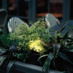 slimme buitenverlichting